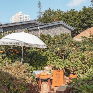 15:00 カフェで休憩 CAFE GYULKKOT DARAK（카페 귤꽃다락） 이미지 3