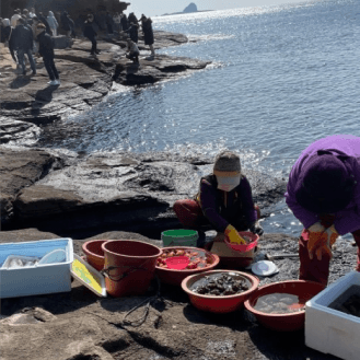 12:00 済州の自然を満喫する ヨンモリ海岸（용머리해안） 이미지 3