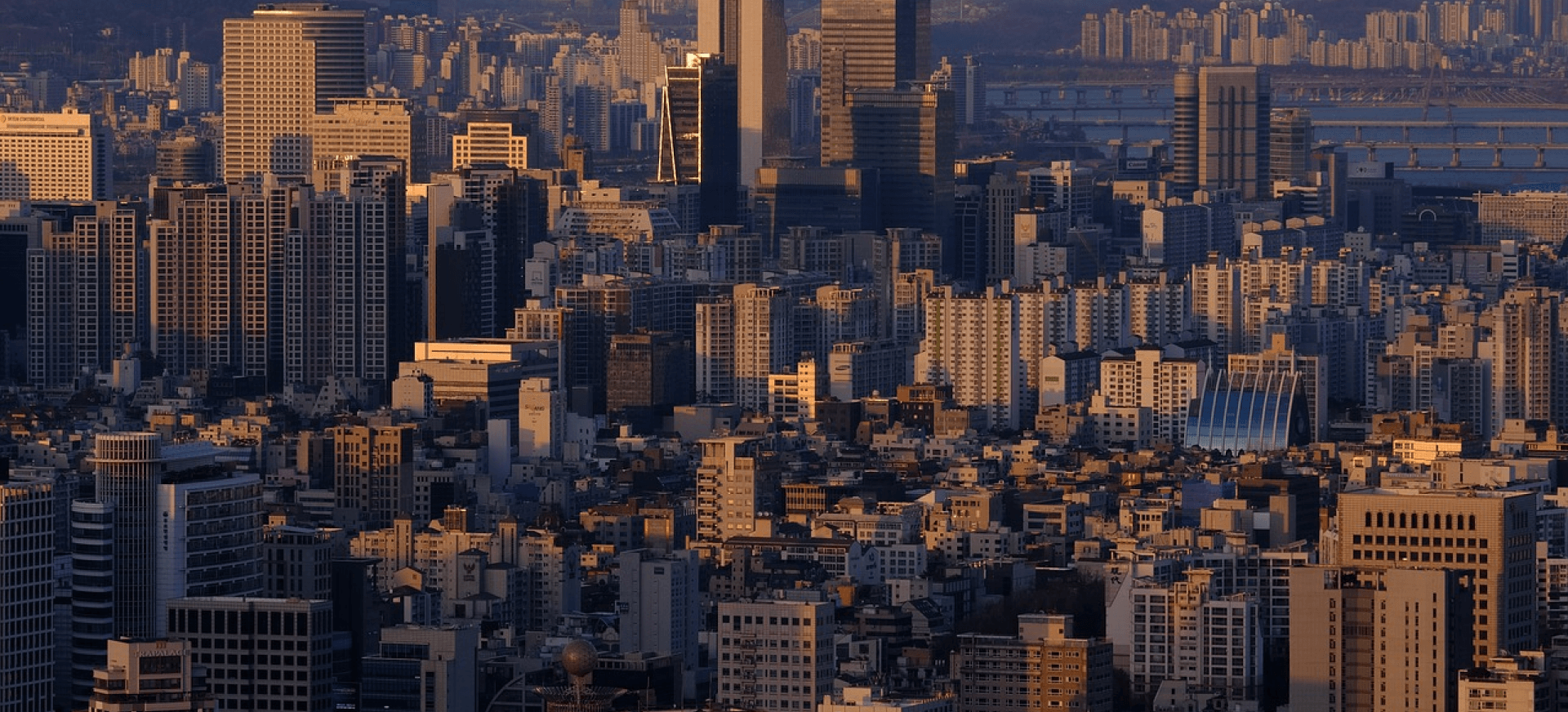江南/강남 대표 이미지