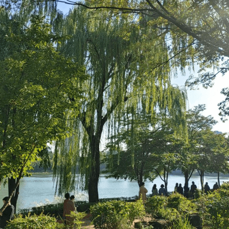 湖の周りを少し散歩する - 画像 1