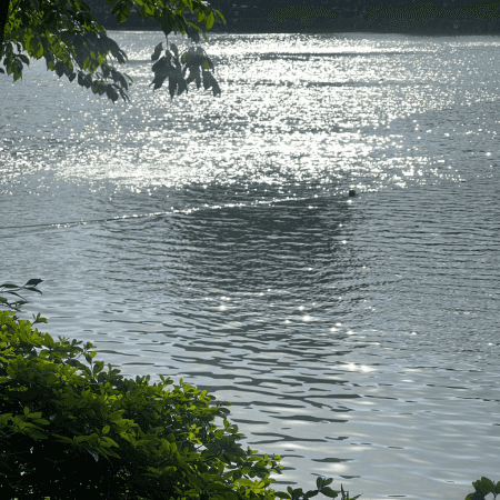 湖の周りを少し散歩する - 画像 3