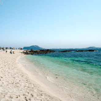 10:30 海で散歩 珊瑚海水浴場（산호해수욕장）