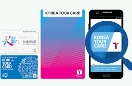 Korea Tour Card