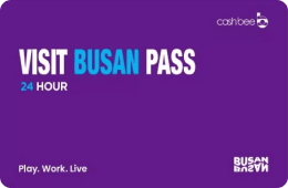 VISIT BUSAN PASS