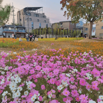 20:00 仁寺洞を巡る ソルリンソンヒョン緑地広場（열린송현 녹지광장）