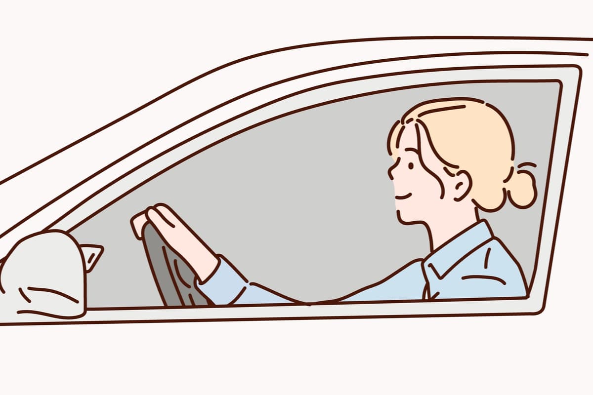 タクシー (知っておくと便利な韓国語フレーズ)