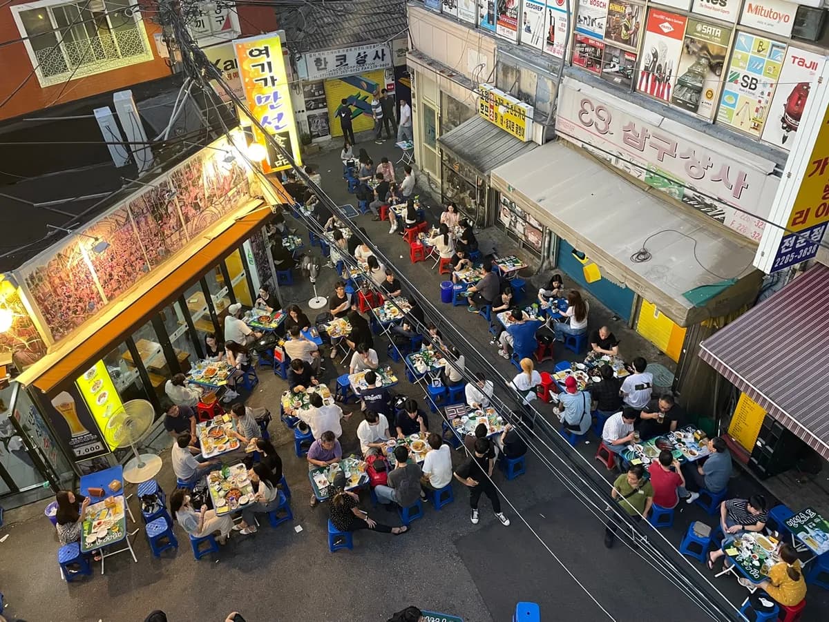 「乙支OBベアー」からはじまったノガリ横丁