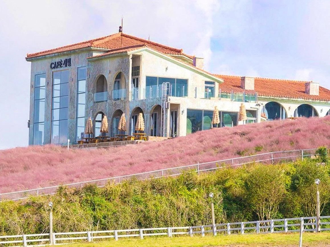 SAEBIL CAFE 배경 이미지
