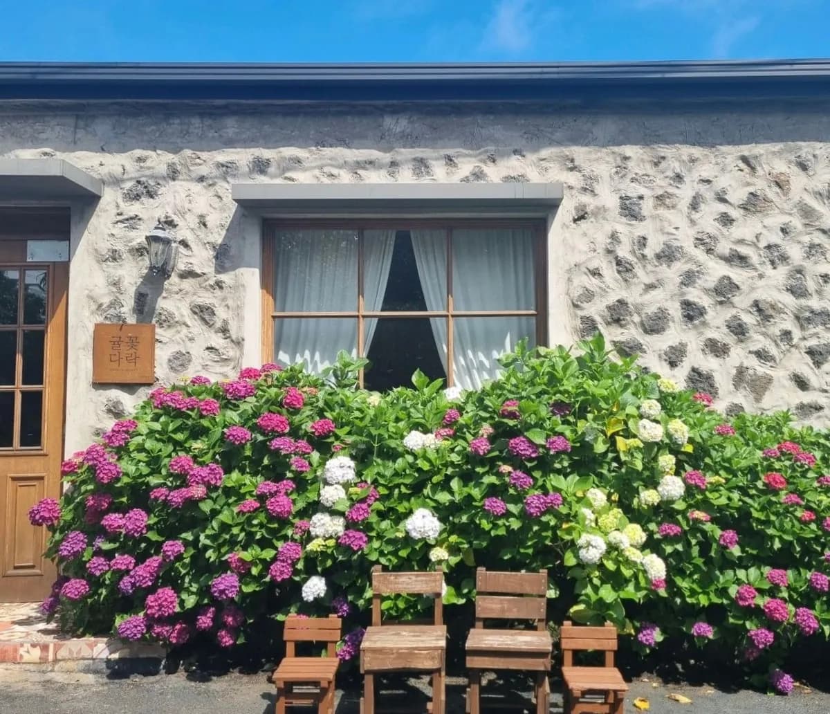 みかん×アジサイの季節がおすすめ