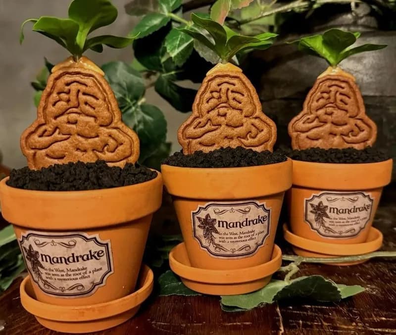 マンドレイクケーキ