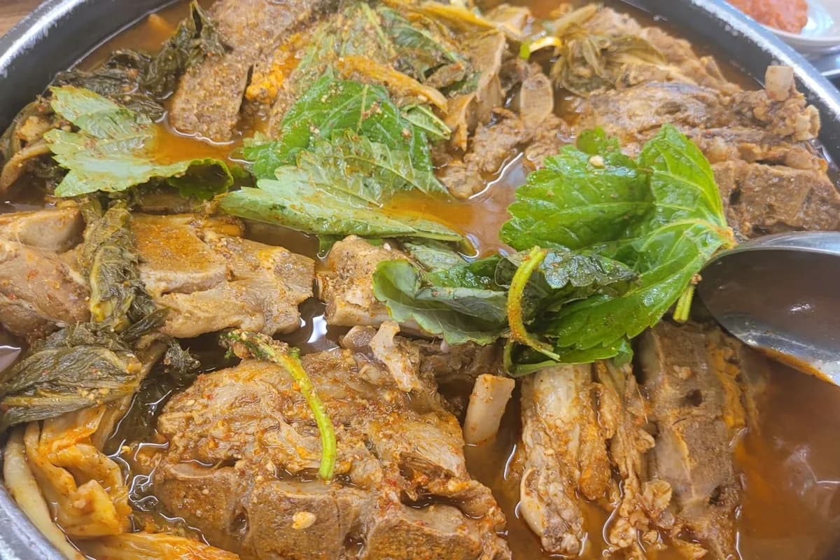 ホロホロのお肉がたまらない