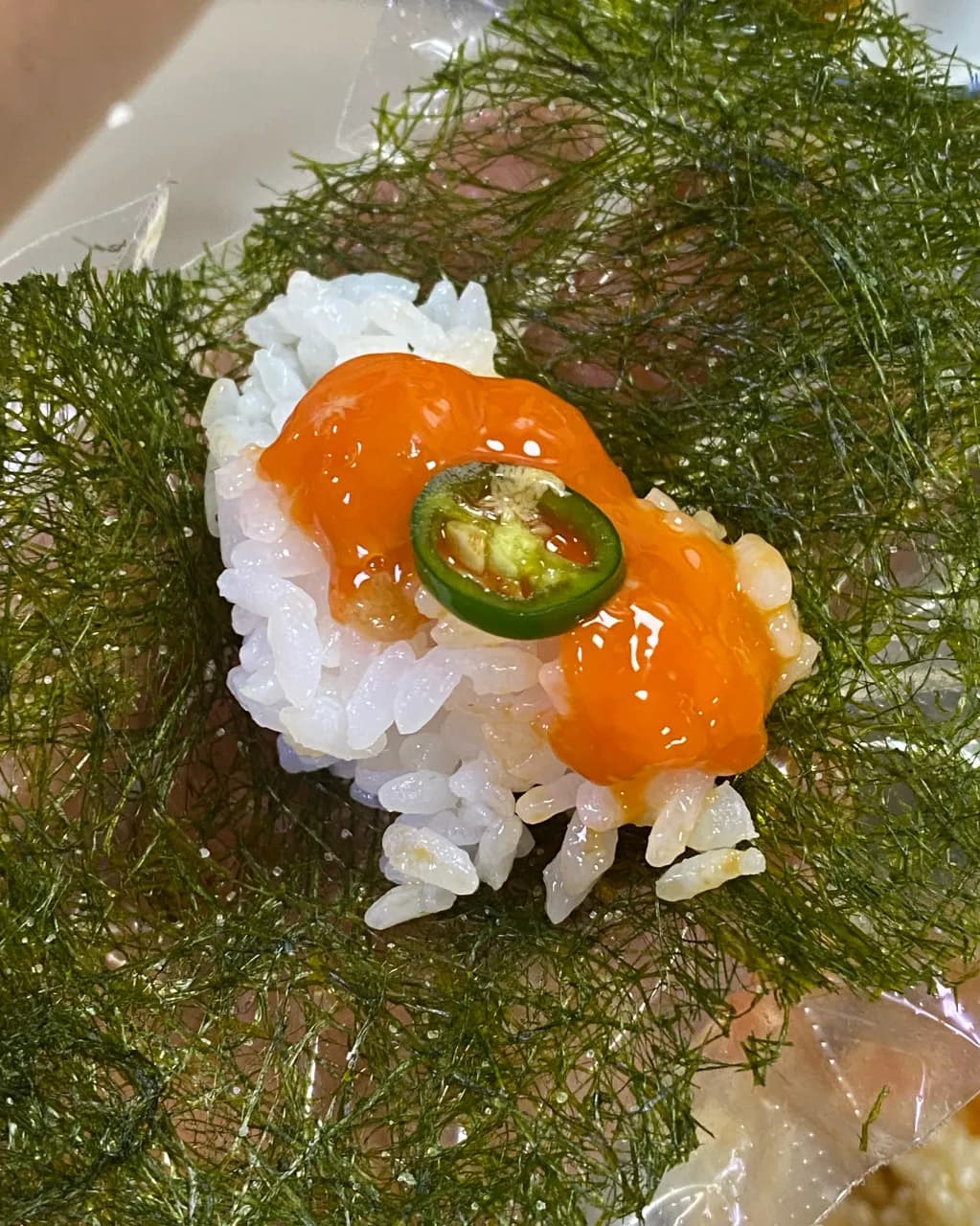 苦みもなく生臭さも気にならない、新鮮な海の幸