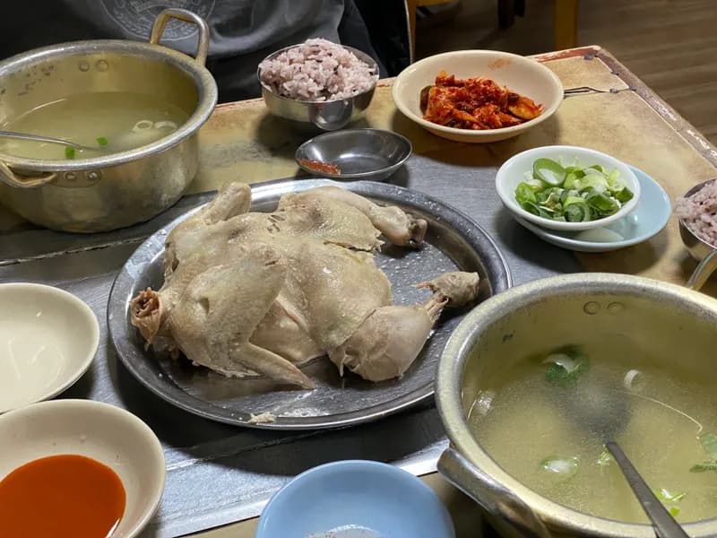 鶏の水炊き定食